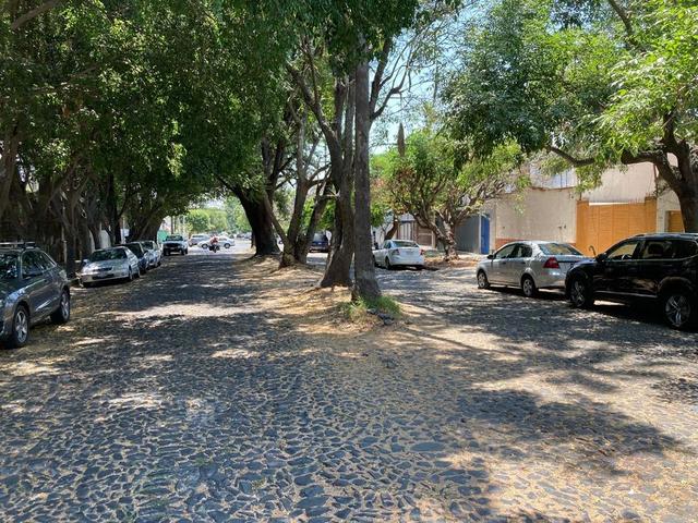 Foto de la galeria de imagenes